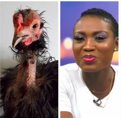 Juliet Ibrahim angrily mocks TV Africa presenter, calls her 'Miss Akuko Perming'