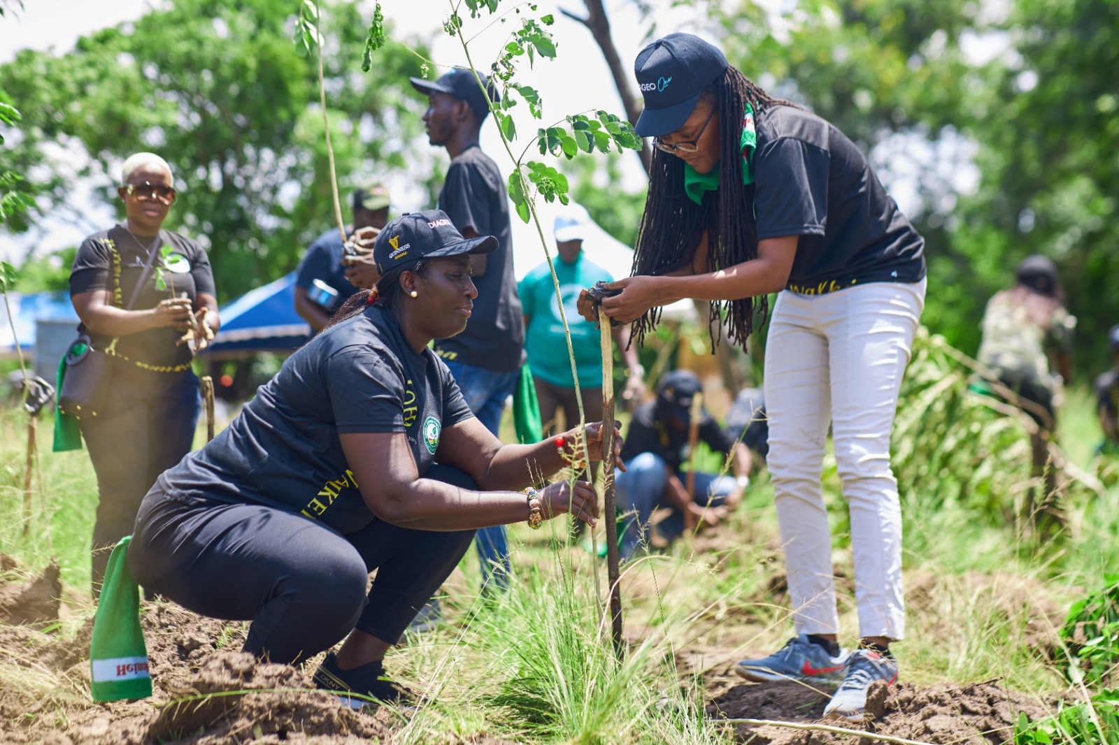 Johnnie Walker Goes Green by Planting 1,111 seedlings for Green Ghana Day