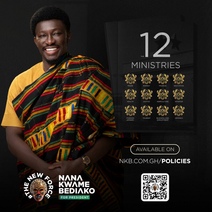 NANA KWAME BEDIAKO SPARKS EXCITEMENT WITH “12 PILLARS FOR ECONOMIC FREEDOM” – DIGITAL COPIES AVAILABLE NOW.